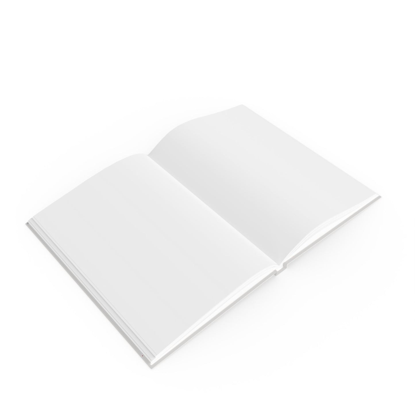 Heartbreaker 3 | Ice Gray Hardcover Journal