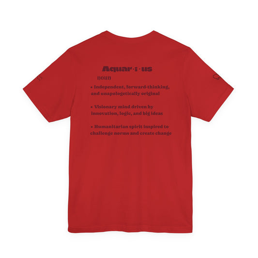 Aquarius| Word Art Graphic Tee (garnet) -- "Aquarius" Definition on Back