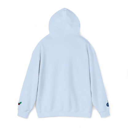 The Joyful Edit1 | Joyful Silver Embroidered Hoodie (multiple colors)