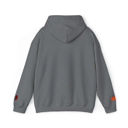 Harvest Haze | Blessed Fall Hoodie (multiple colors)