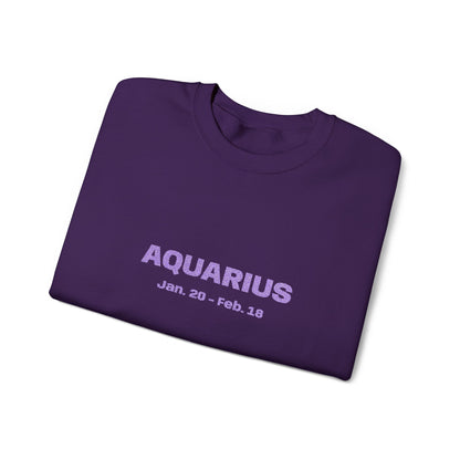 Aquarius | Embroidered Crewneck Sweatshirt (amethyst)
