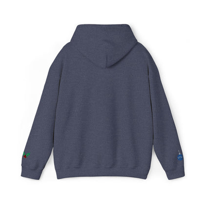 The Joyful Edit1 | Joyful Silver Embroidered Hoodie (multiple colors)