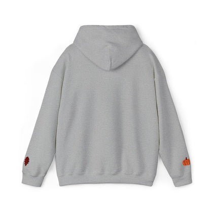 Harvest Haze | Blessed Fall Hoodie (multiple colors)
