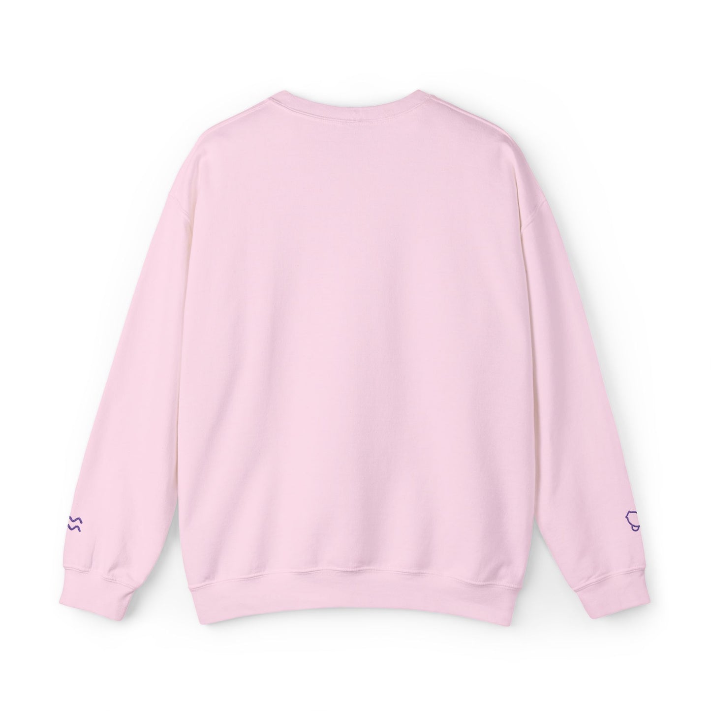 Aquarius | Embroidered Crewneck Sweatshirt (amethyst)
