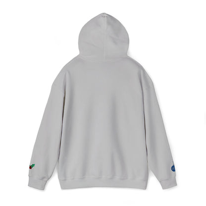 The Joyful Edit1 | Joyful Silver Embroidered Hoodie (multiple colors)