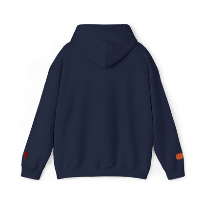 Harvest Haze | Blessed Fall Hoodie (multiple colors)