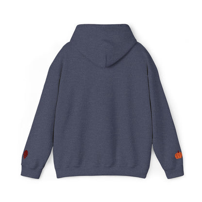 Harvest Haze | Blessed Fall Hoodie (multiple colors)