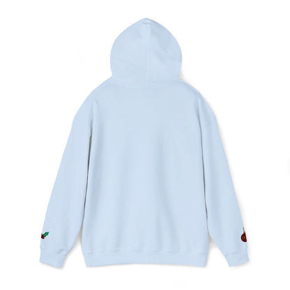 The Joyful Edit1 | Joyful Maroon Embroidered Hoodie (multiple colors)