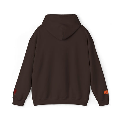 Harvest Haze | Blessed Fall Hoodie (multiple colors)