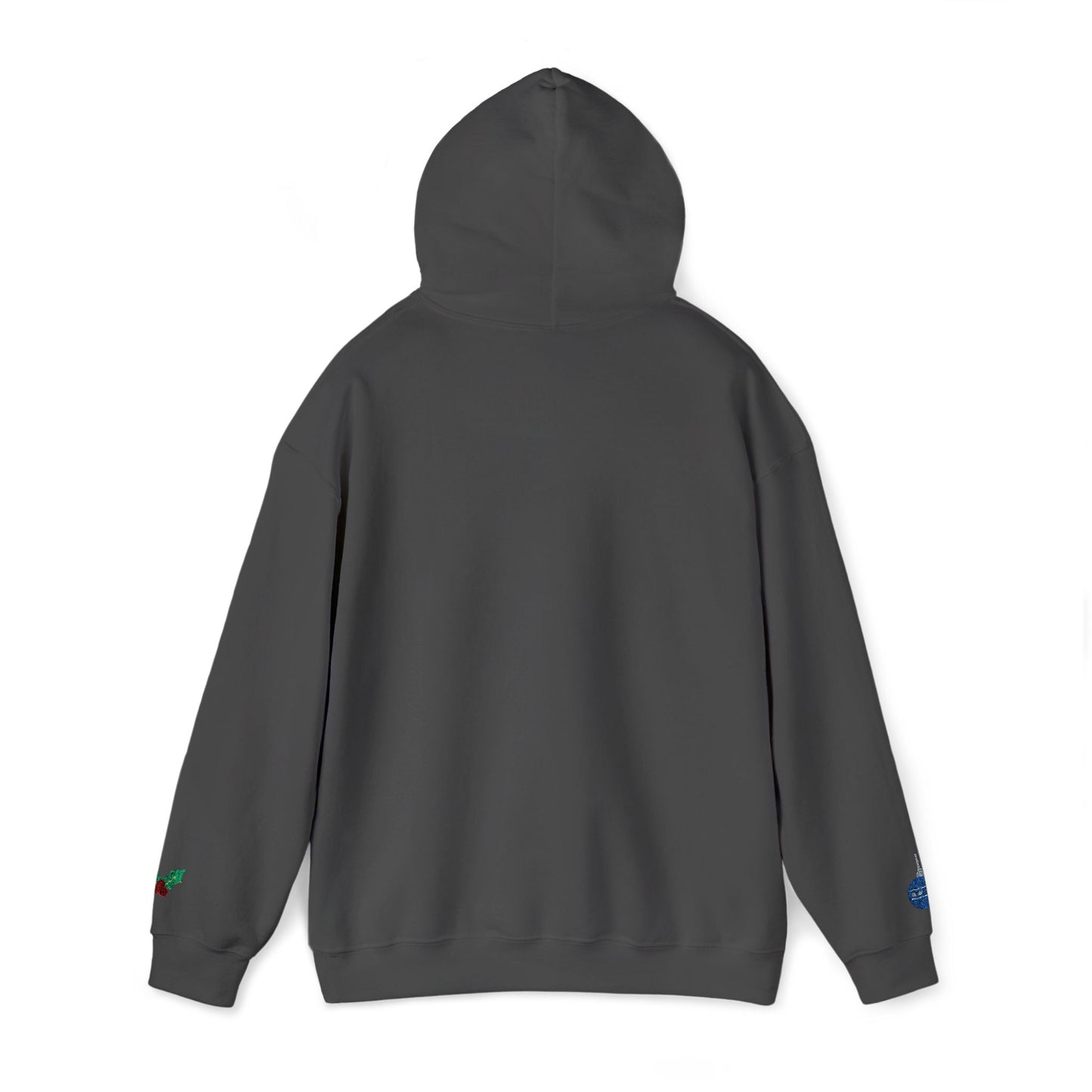 The Joyful Edit1 | Joyful Silver Embroidered Hoodie (multiple colors)