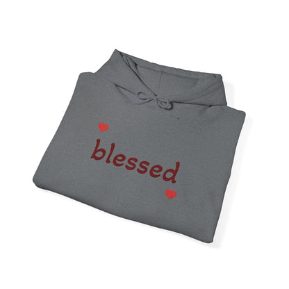 Harvest Haze | Blessed Fall Hoodie (multiple colors)