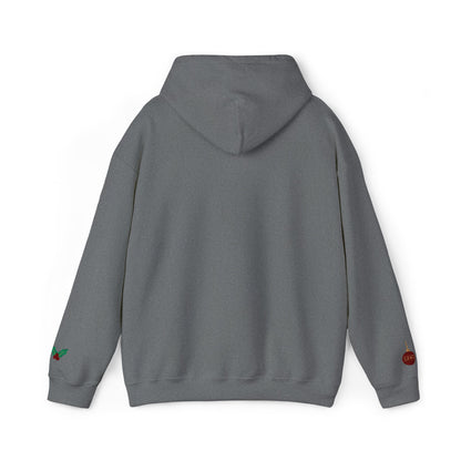 The Joyful Edit1 | Joyful Maroon Embroidered Hoodie (multiple colors)