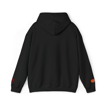Harvest Haze | Blessed Fall Hoodie (multiple colors)