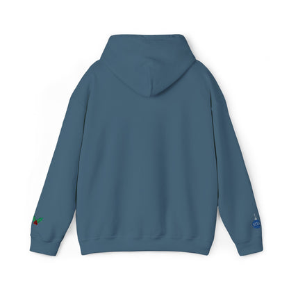 The Joyful Edit1 | Joyful Silver Embroidered Hoodie (multiple colors)